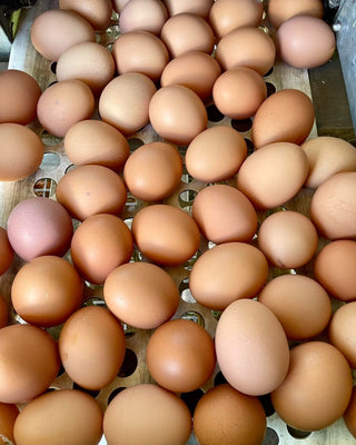 Eggs